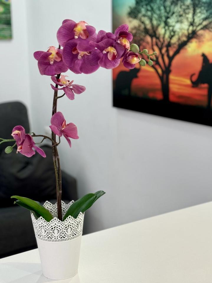 San Eugenio Charming Renovated Apartment Tenerife Costa Adeje  Kültér fotó