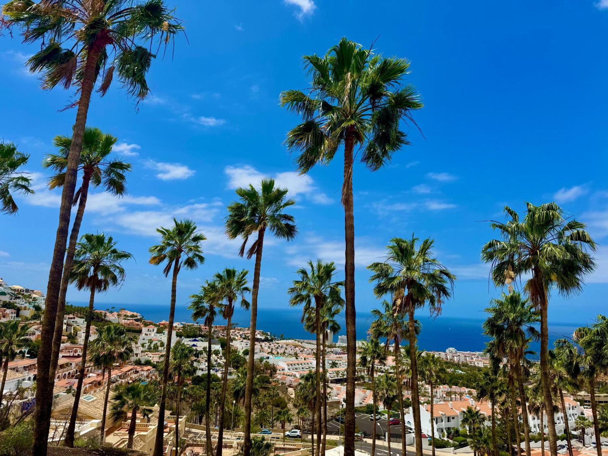 San Eugenio Charming Renovated Apartment Tenerife Costa Adeje  Kültér fotó