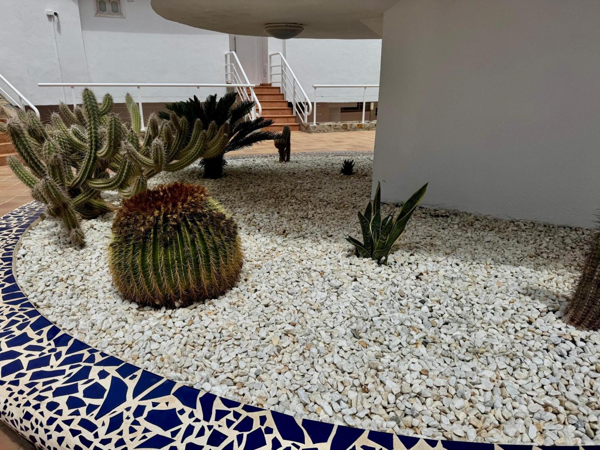 San Eugenio Charming Renovated Apartment Tenerife Costa Adeje  Kültér fotó